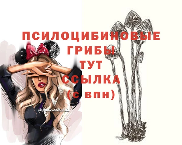 2c-b Аркадак