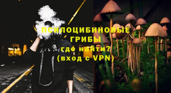 PSILOCYBIN Армянск