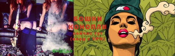 PSILOCYBIN Армянск