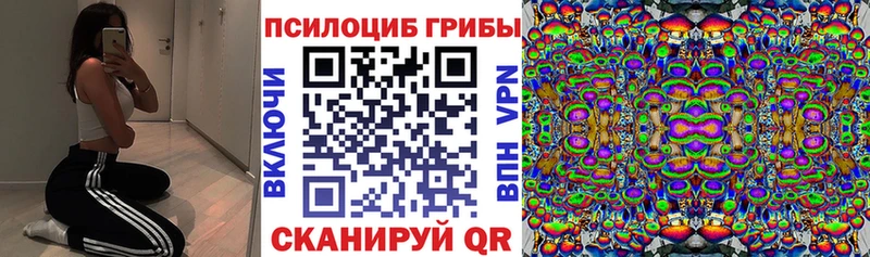 Галлюциногенные грибы Cubensis  купить наркотик  Салехард 