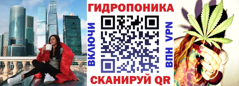 как найти закладки  kraken онион  Конопля Amnesia  Салехард 